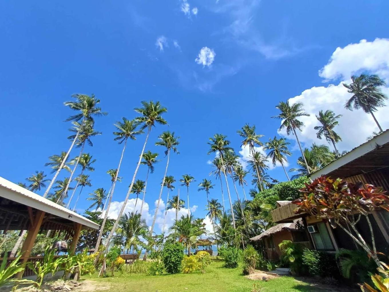 Amihan Beach Hostel San Vicente  Exterior foto