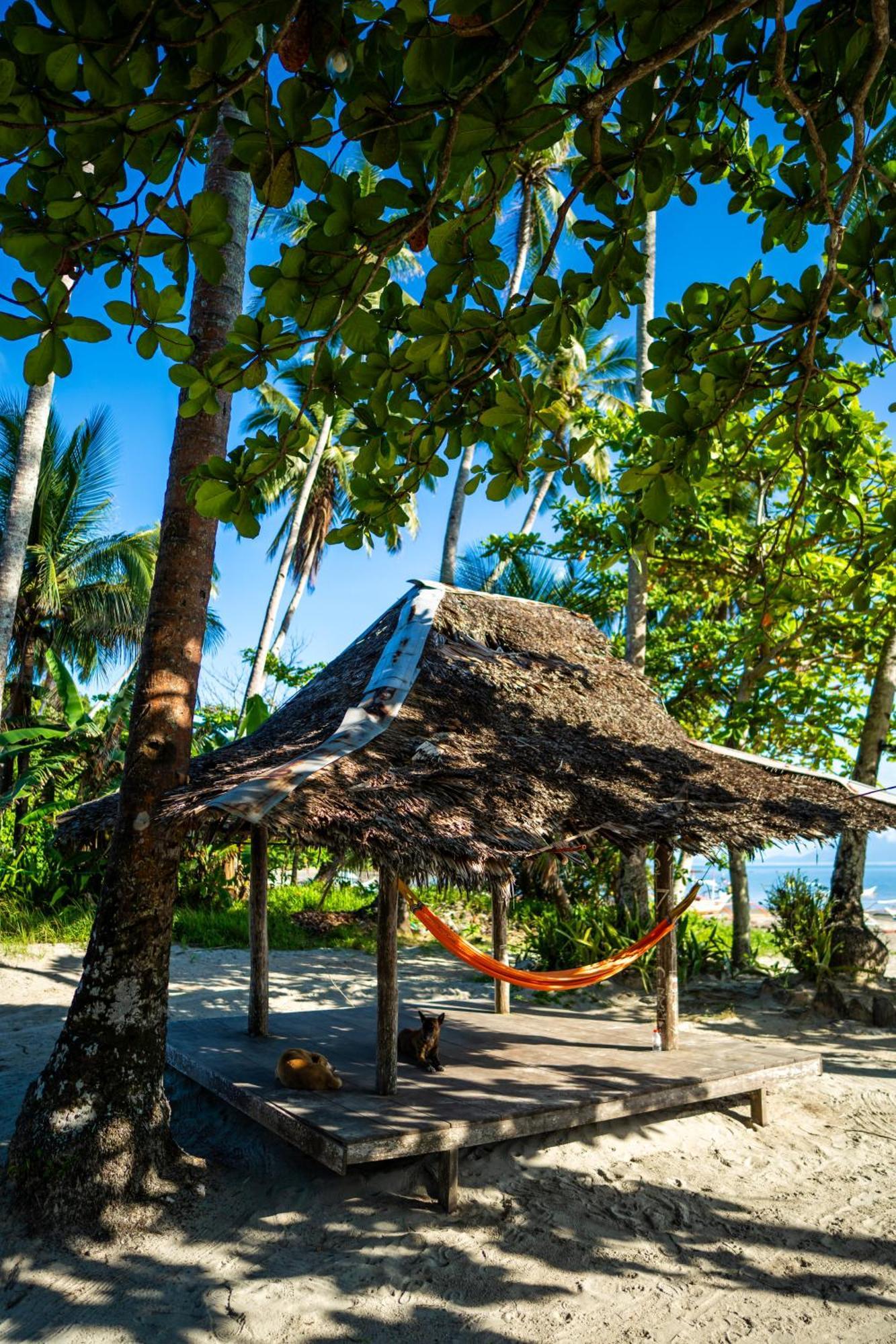 Amihan Beach Hostel San Vicente  Exterior foto